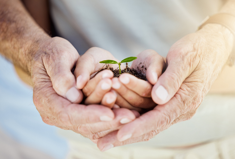 les-seniors-et-l-ecologie-des-acteurs-engages-dans-la-preservation-de-l-environnement