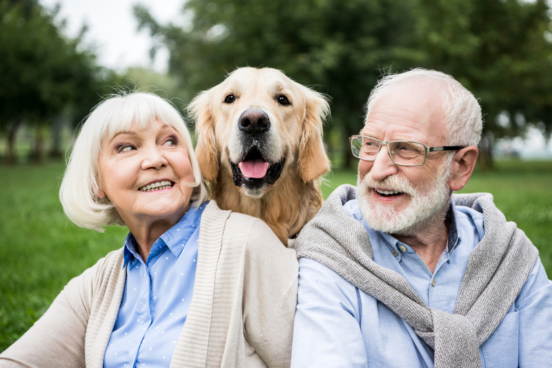 waarom-zijn-dieren-goed-voor-senioren