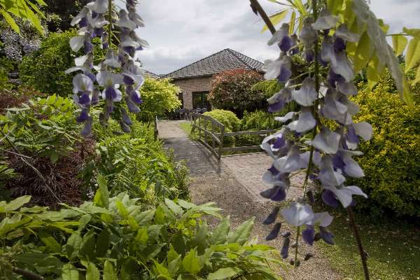Cottage Rose Seniorie-Maison de repos-Liège-Liège Cottage Rose 1.jpg