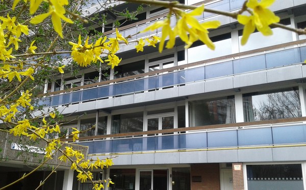 R&eacute;sidence du Bois d'Avroy-Maisons de repos-Liège-bois d'avroy bâtiment.jpeg