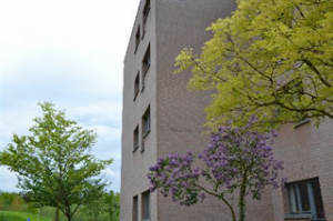 Woonzorgcentrum Mijlbeke-Maison de repos-Alost-Aalst Mijlbeke.png