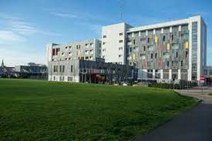 Woonzorgcentrum Den Beuk-Woonzorgcentrum-Boom-boom 02.jpeg