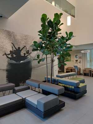 Woonzorgcentrum Het Pardoen-Rusthuis-Wervik-Afbeelding van WhatsApp op 2025-03-19 om 15.15.52_f262b734.jpeg