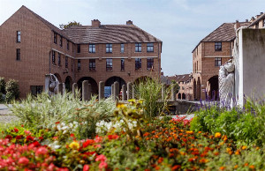 Maison de Repos & Soins Les Orchidées-Maison de repos-Mouscron-Capture.JPG