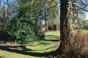 Domaine des Riezes et Sarts-Maison de repos-Cul-des-Sarts-balade dans notre parc.jpeg