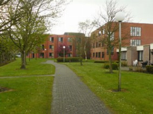 Woonzorgcentrum Sint-Vincentius & Assistentiewoningen Elzenhof-Rusthuis-Zaffelare-Zaffelare Sint-vincentius.jpg