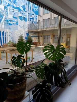 Woonzorgcentrum Het Pardoen-Woonzorgcentrum-Wervik-Afbeelding van WhatsApp op 2025-03-19 om 15.19.15_590f0622.jpeg