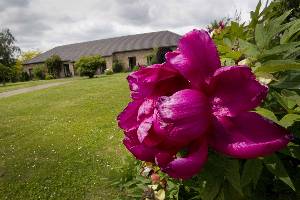 Cottage Rose Seniorie-Maison de repos-Liège-Liège Cottage Rose 3.jpg