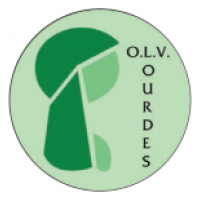 logo Solidum