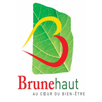 logo CPAS de Brunehaut