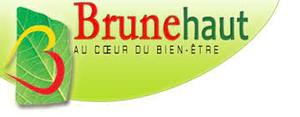 CPAS de Brunehaut-Services à domicile-Province du Hainaut