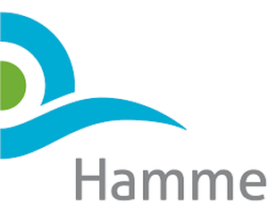 Stad Hamme-Services à domicile-Province Flandre Orientale